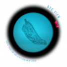 SHAW CONCEPTS | REUP BANDOLIER SHAW CONCEPTS | REUP BANDOLIER