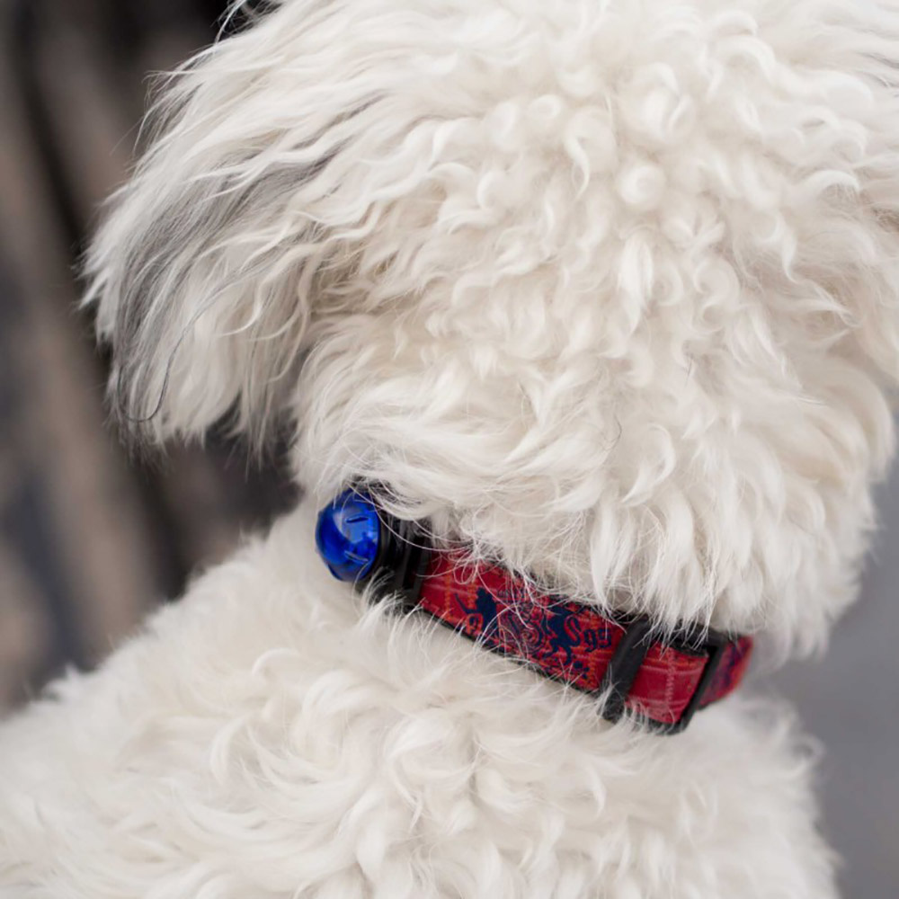 Guardian For Small Pets | Bl�