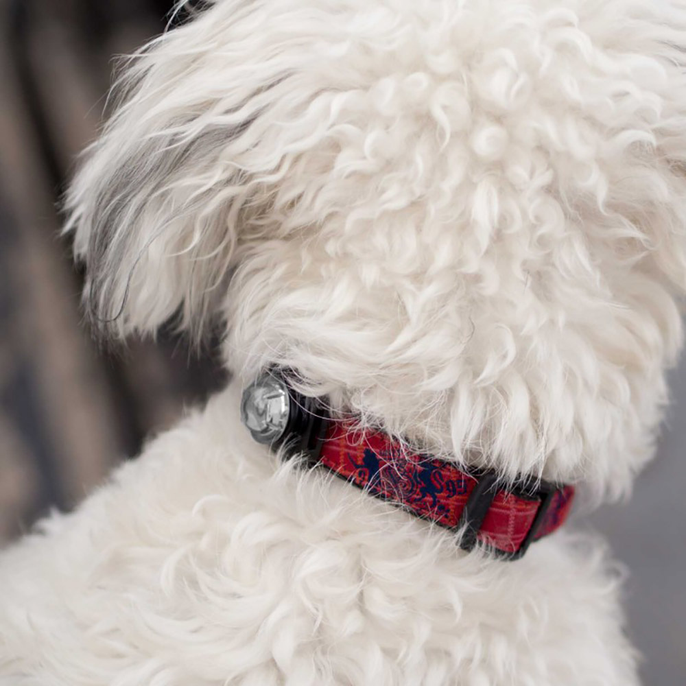 Guardian For Small Pets | Vit