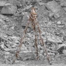 GHOSTHOOD | TRIPOD CAMO GHOSTHOOD | TRIPOD CAMO