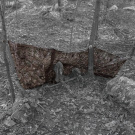 GHOSTHOOD | RECCE NET GHOSTHOOD | RECCE NET