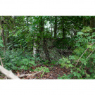 GHOSTHOOD | RECCE NET GHOSTHOOD | RECCE NET