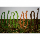 GHOSTHOOD | STRIP SOLID GHOSTHOOD | STRIP SOLID