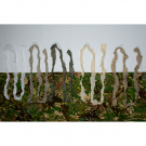 GHOSTHOOD | STRIP SOLID GHOSTHOOD | STRIP SOLID