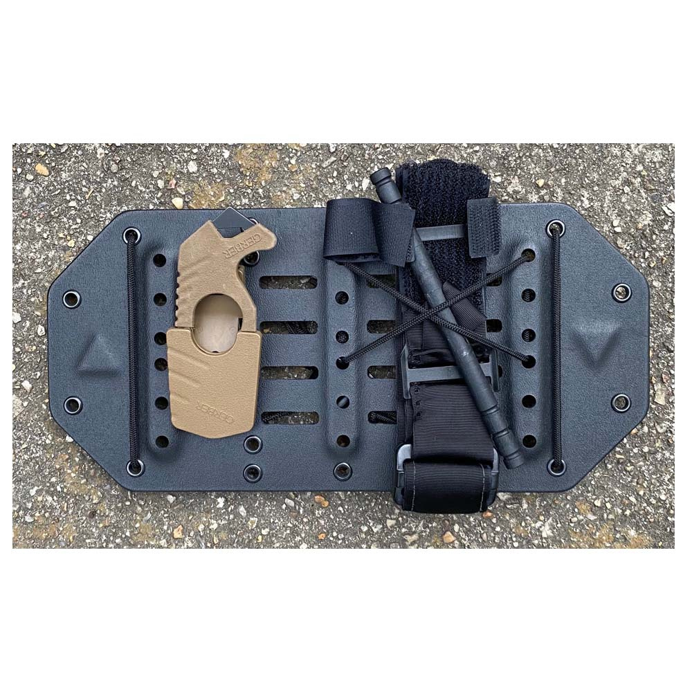 BLACK TRIANGLE | Rigid Visor Panel | BLACK